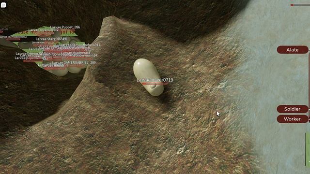 ANT LIFE V.2.3 (YCA SOLDIERS) OWNER IN THE GAME!?!?! смотреть онлайн