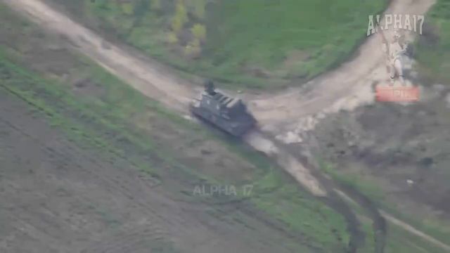 Ланцет в действии,