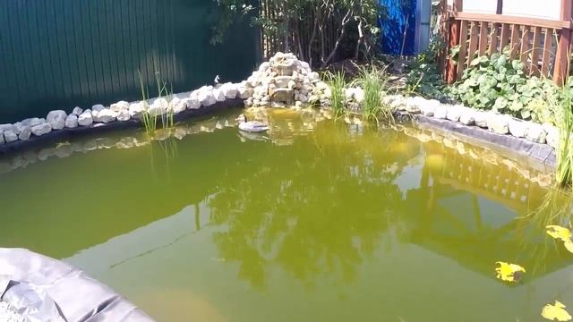 Декорирования пруда, насыпь гравием, и каменый бут по берегам (июль 2018) смотреть онлайн