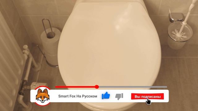 Высыпьте СТИРАЛЬНЫЙ ПОРОШОК в унитаз и УДИВИТЕСЬ РЕЗУЛЬТАТУ ? смотреть онлайн