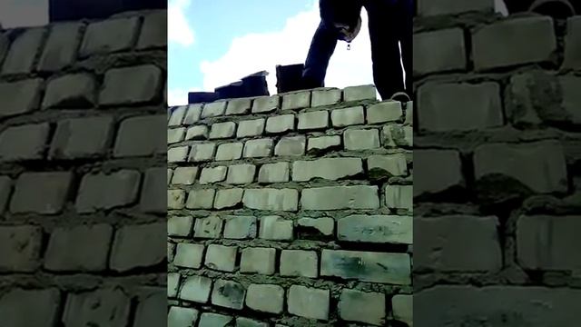 18 школа смотреть онлайн