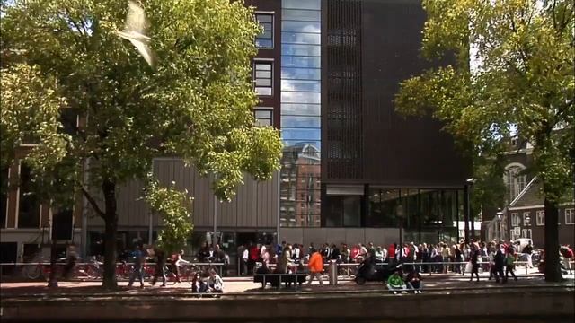 See some of the best things to see and do in Amsterdam | I amsterdam смотреть онлайн