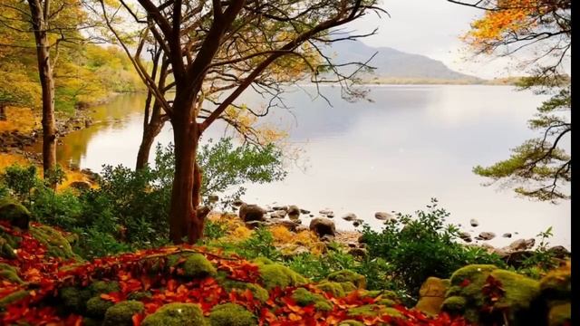 Истории из жизни. Ненужная свекровь...Жизненные истории