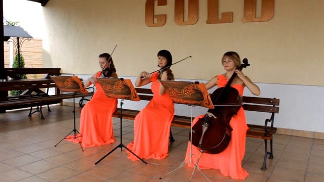 Струнный квартет 