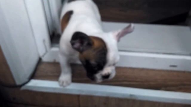 VID 20160523 140835 смотреть онлайн