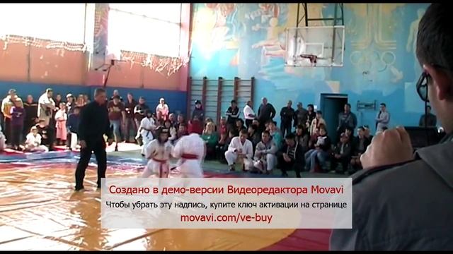Открытый Чемпионат г.Стаханов по Киокушин Каратэ 17.05.2015 дети 8-9 лет до 30 кг смотреть онлайн
