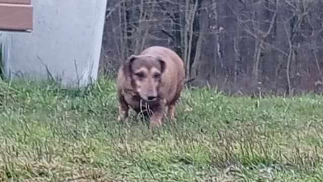 2023611608_08.58.10 У Лебедянского пруда