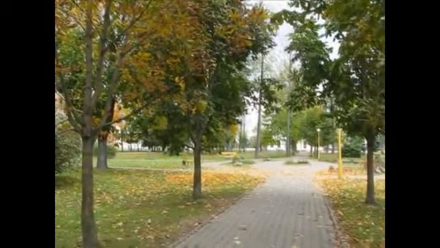 Осень в парке Старые Дороги смотреть онлайн