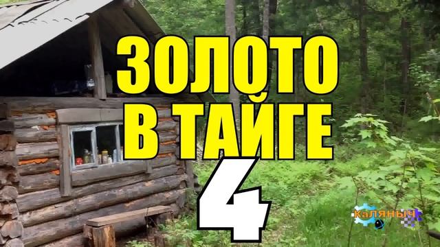 0890 - БОМЖИ В ТАЙГЕ _ ЗАБРОШЕННАЯ ДЕРЕВНЯ _ ЗАСАДА ТУПИК 4 из 4.mp4 смотреть онлайн