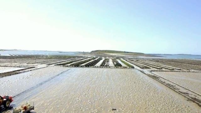 L'Aber Wrac'h vue d'un drone смотреть онлайн