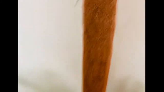 Moss Stick Review | Online Moss Stick मँगवाई | What is the use of Moss Stick #tanuskagreens смотреть онлайн