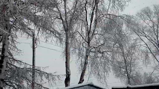 Снежный циклон 4 мая 2018 г. в Ванино (Хабаровский край). смотреть онлайн