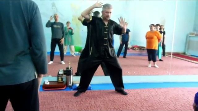 Обучающая программа по Цигун. Рогов В.М. смотреть онлайн