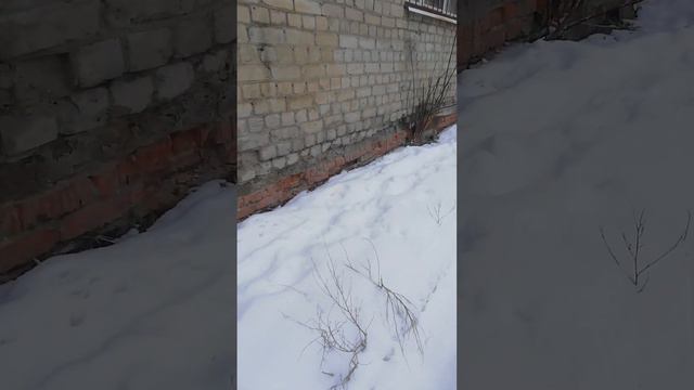 Саратов, Заводской район, посёлок Комсомольский, ул. Прудная 2/2 смотреть онлайн