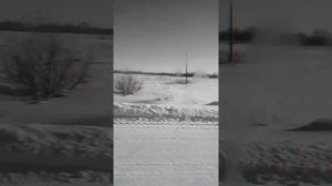 Песня. Температура. 🎶ShoolaL