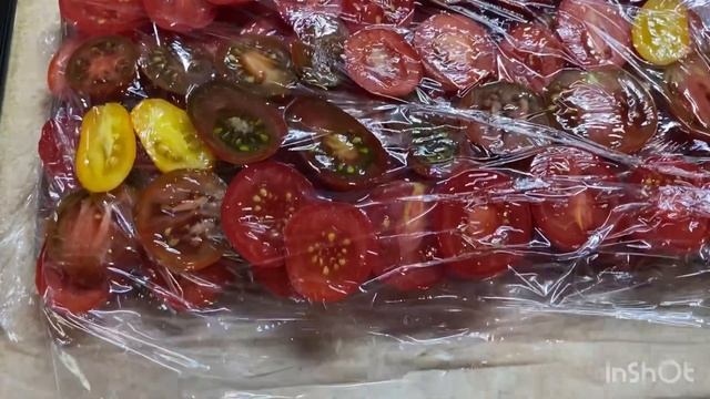 Заморозила на зиму помидорки.#томати#заморозка#помидор #відеоукраїнською смотреть онлайн