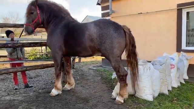 8 ноября 2022 г. смотреть онлайн