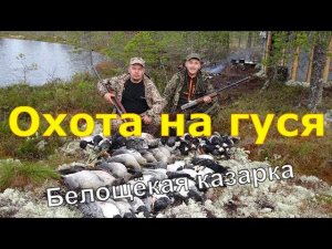 Охота на северного гуся #6.1  Архангельская область 2ч