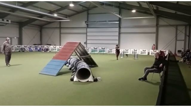 Jump for joy - joyfull jumping course смотреть онлайн