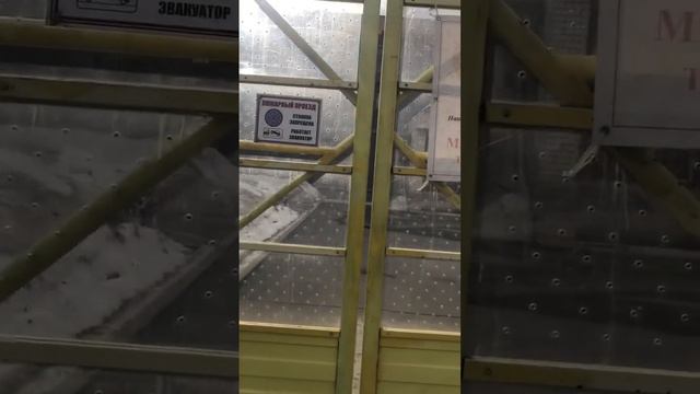 ЗА СТЕКЛОМ Детский сад в мегаполисе.Kindergarten #short #shortvideo #академический смотреть онлайн