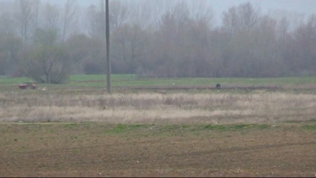 531.Serbia. (37) 10 ч. 46 мин. курцхаар смотреть онлайн