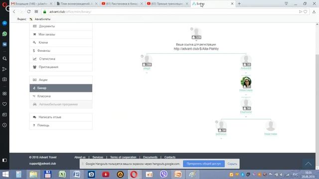 Школа бизнеса "Правила расстановки в бинаре". смотреть онлайн