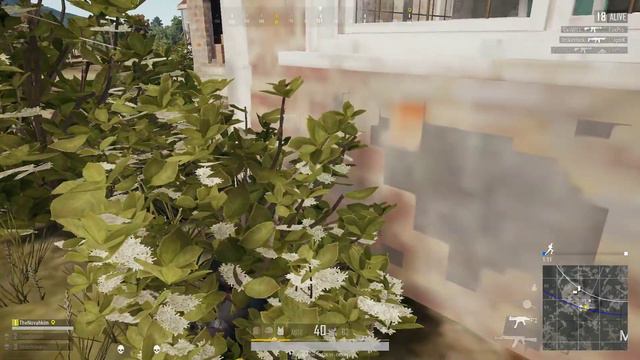 Skyrim sneak level 100 but in PUBG смотреть онлайн