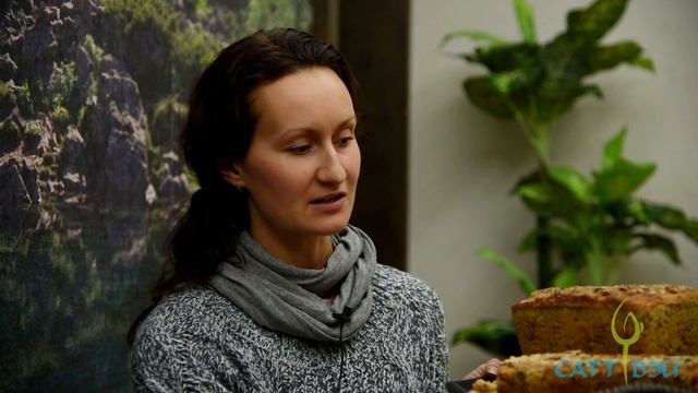 Мастер-класс по бездрожжевому хлебопечению 20 ноября смотреть онлайн