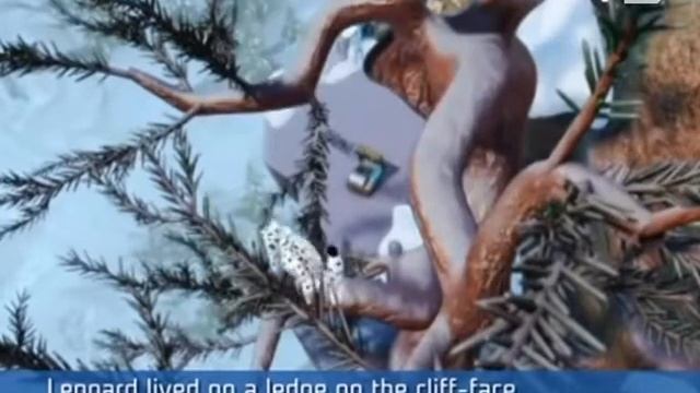 Детская программа "Цветные сны" 7/02/14 смотреть онлайн