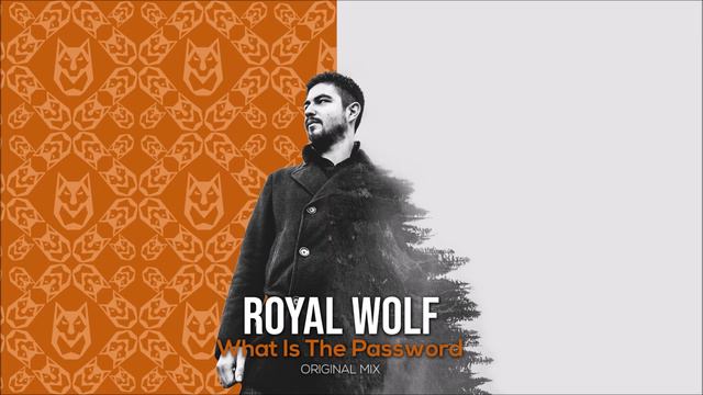 Royal Wolf - What Is The Password (Original Mix) смотреть онлайн