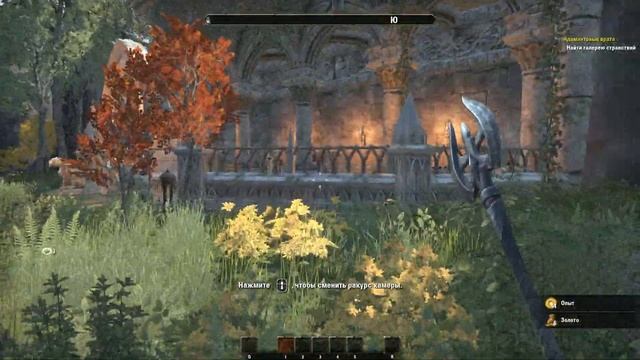 Прохождение The Elder Scrolls Online Серия 1 "Галерея странствий" смотреть онлайн