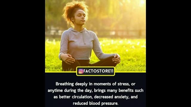 Wonderful Facts you should know #645|| Facts All Day || смотреть онлайн