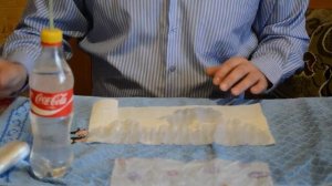 Посадка семян перцев в самокрутку | Замачивание семян в перекиси водорода