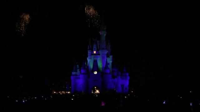 Orlando Disneyland Firework
