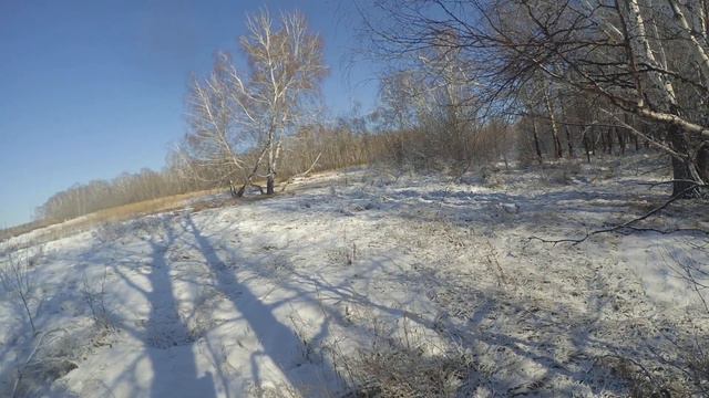 Заяц прибежал в ноги 06.04.2019 смотреть онлайн