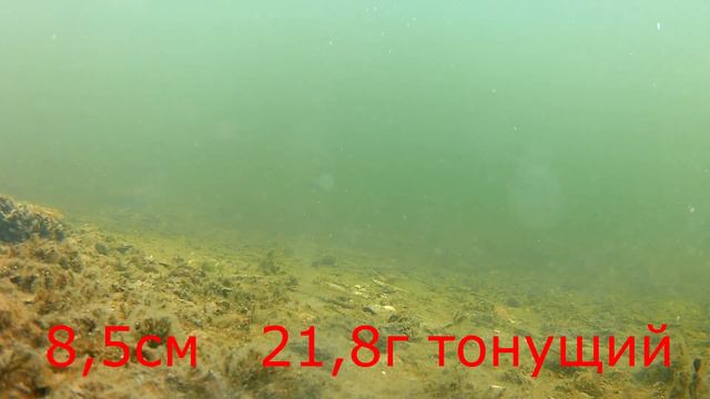 Раттлины с AliExspress тестирую недорогие раттлины под водой