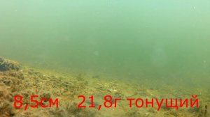 Раттлины с AliExspress тестирую недорогие раттлины под водой