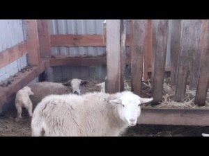 Пополнение!