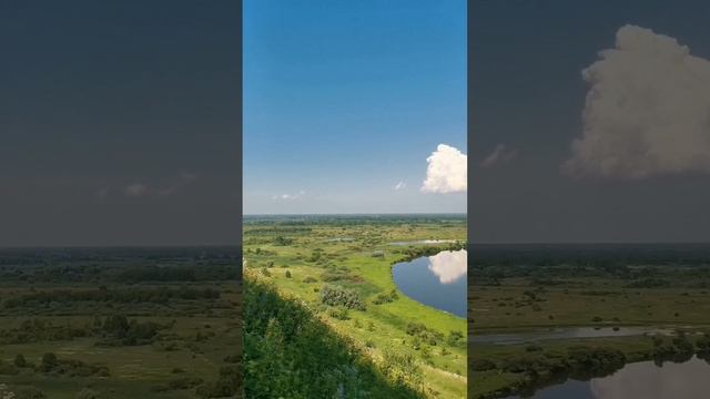 Дорога домой!