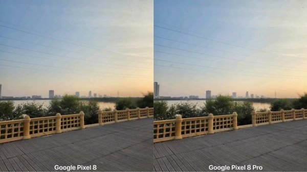 Google Pixel 8 VS Google Pixel 8 Pro Camera Test Comparison