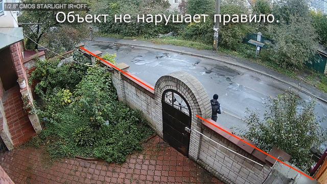 Функции видеоаналитики Tyto. Пример пересечения линии. смотреть онлайн