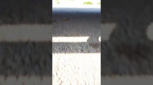 Ford Ranger 2.2 engine number vin номер двигателя