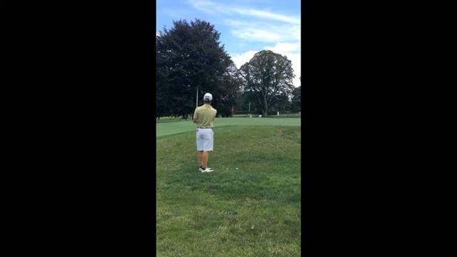 Sean Farren Class of 2015 Swing Video. 4.0 GPA смотреть онлайн