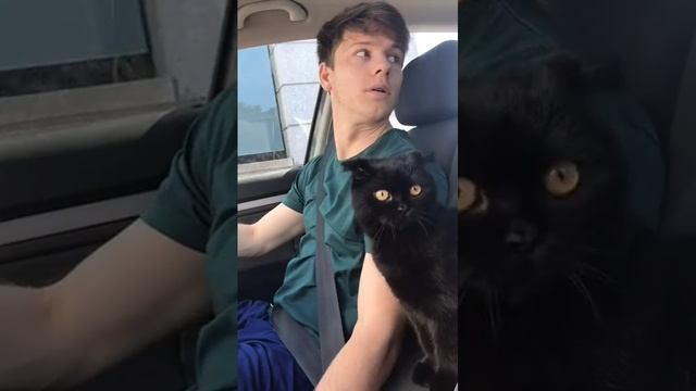 Когда купил машину) смотреть онлайн