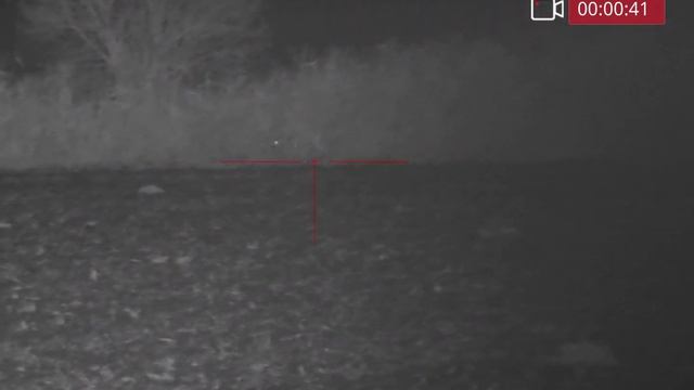 Infiray Tube TD70L Roe Deer 170-200m смотреть онлайн