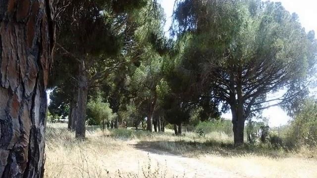 Fantástica Finca Rústica en Montbrió del Camp смотреть онлайн