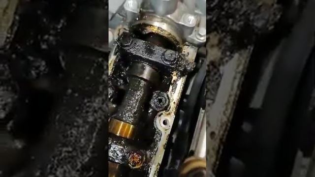 1.6 ecoboost меняйте масло вовремя смотреть онлайн