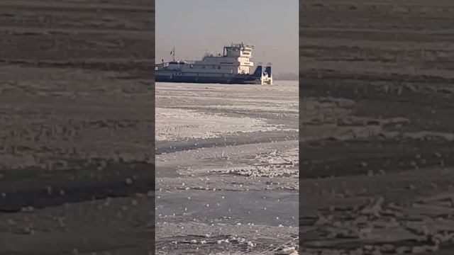 Заблудившийся толкач на Волге, ищет лето. смотреть онлайн