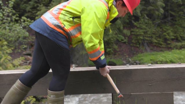 Government Licensed Professionals Are BC's Experts смотреть онлайн