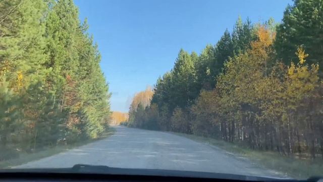 380. ? Уютный дом в лесу | Осенний лес ? Мои фиалки ? Самые вкусные роллы ? Тюмень Семья